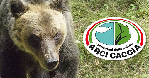 Tar Lazio sospende caccia nelle aree di protezione dell'orso